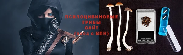 дживик Алексеевка