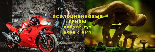эйфоретик Алзамай