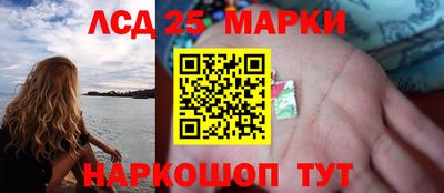 дурь Бердск