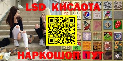 дурь Бердск