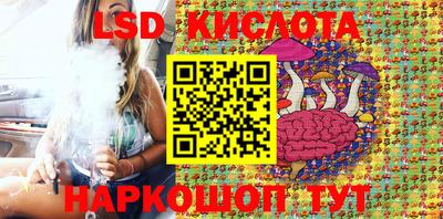дурь Бердск
