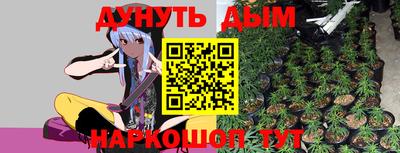 дурь Бердск