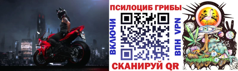 Галлюциногенные грибы Cubensis  купить   Белореченск 