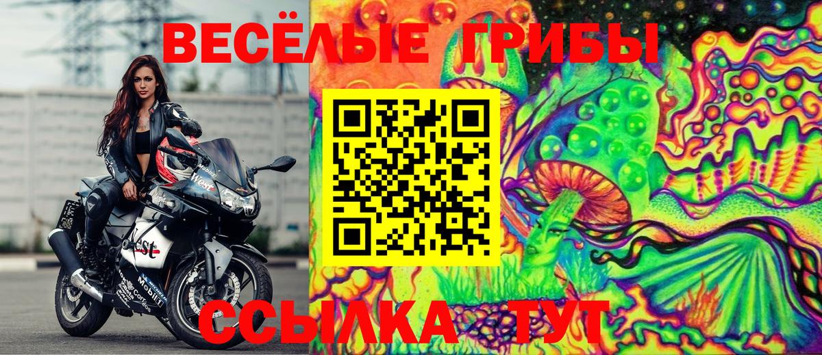 Псилоцибиновые грибы мицелий Белореченск