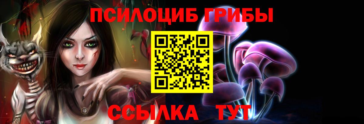 Галлюциногенные грибы мицелий  Псилоцибиновые грибы Cubensis  Белореченск  Вход с VPN 